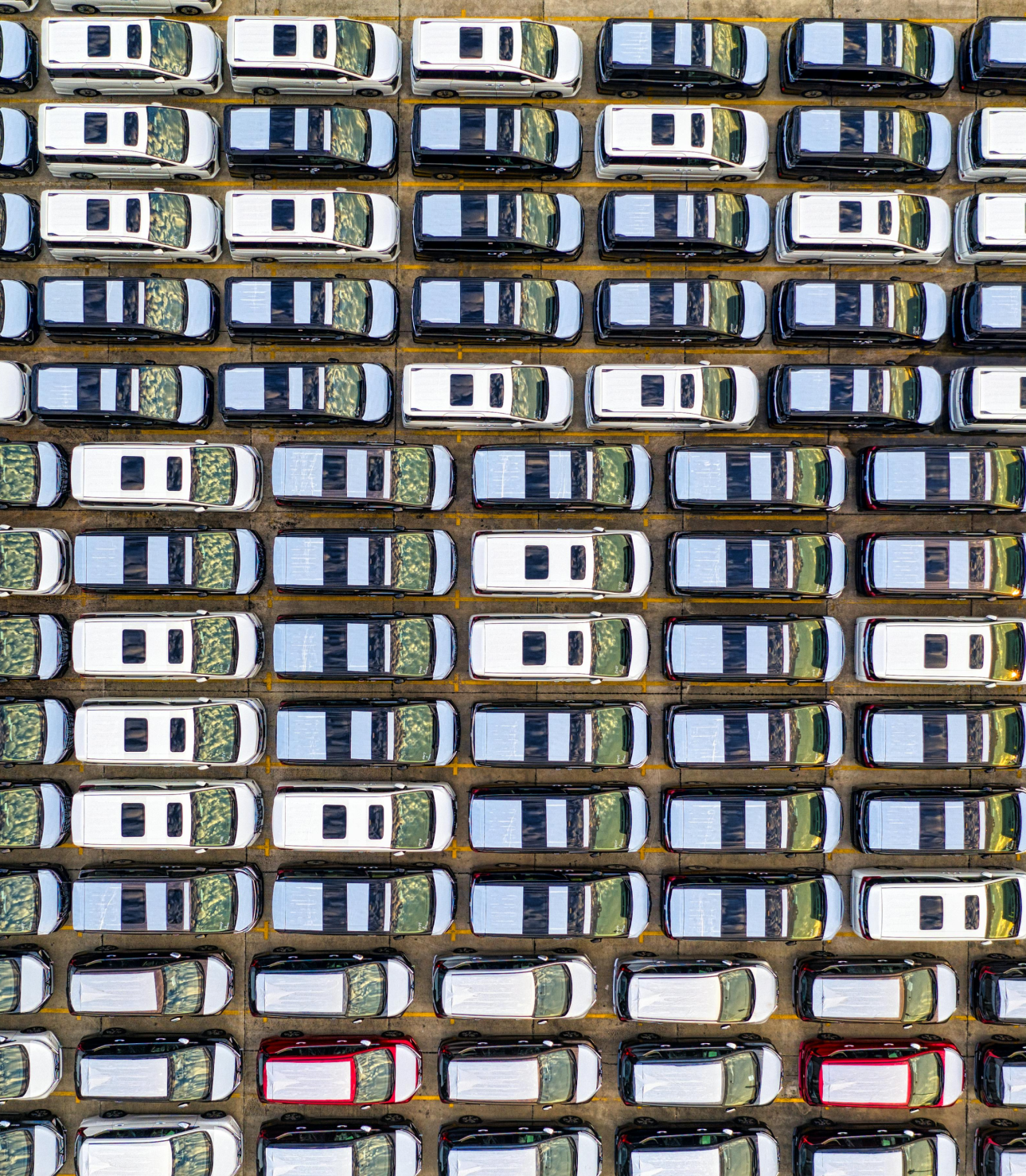 seguros para flota chile